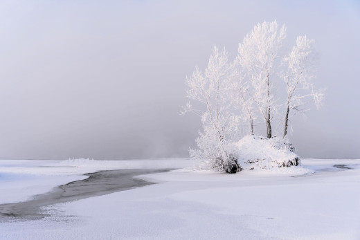 1757838 (a): :3500x2333